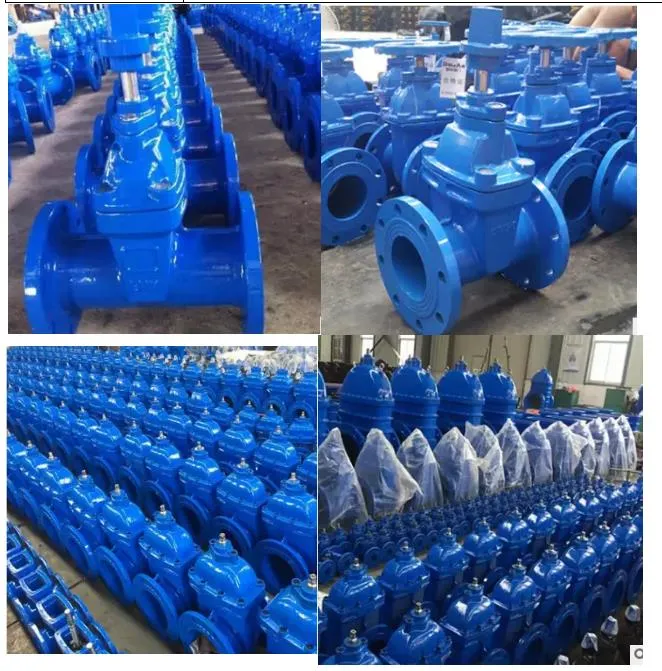 Double Expanding Gate Valve Double Flanged Resilient Seal Gate Valves